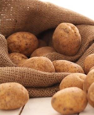 Toptan Patates