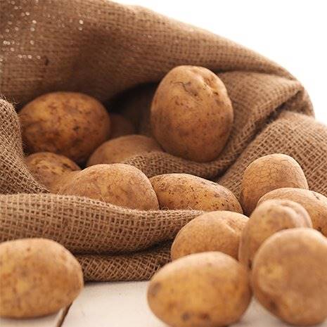 Toptan Patates